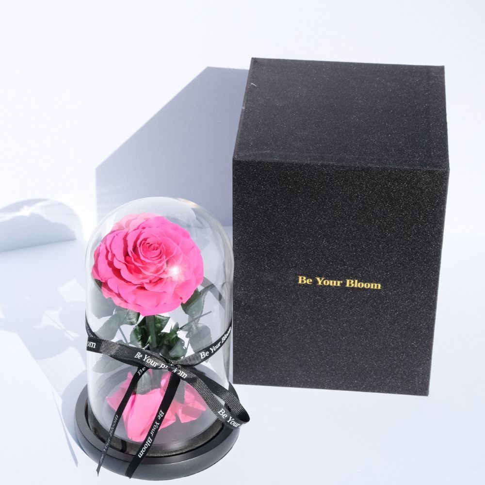 Everlasting Rose Glass Dome - Dark Pink