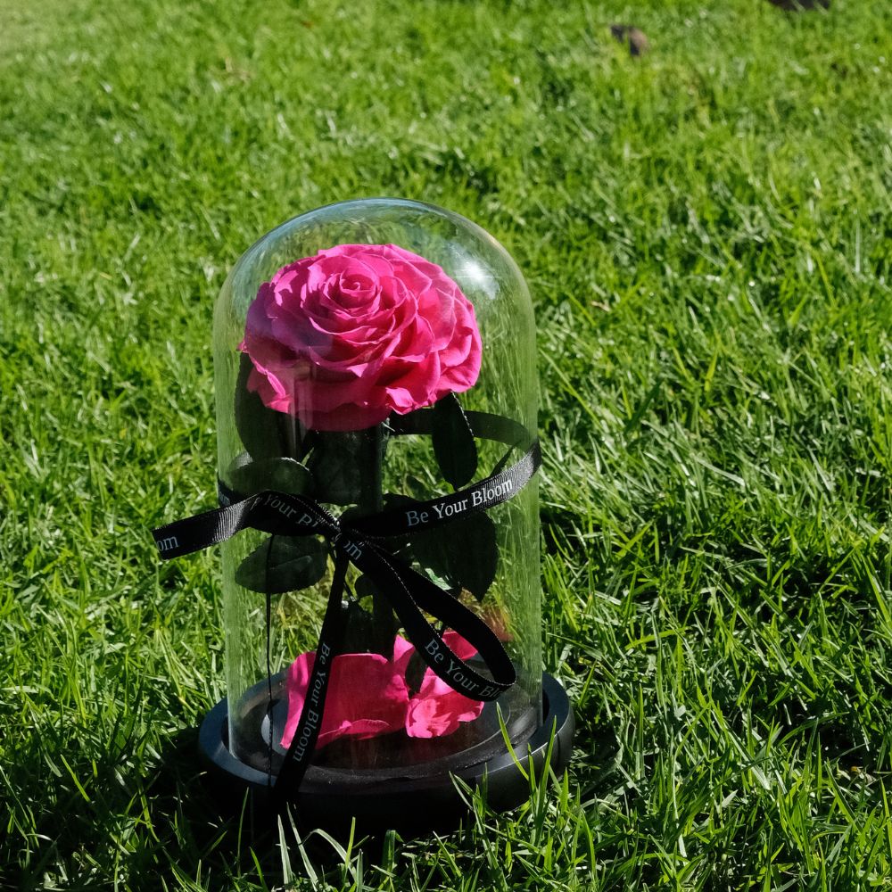 Everlasting Rose Glass Dome - Dark Pink