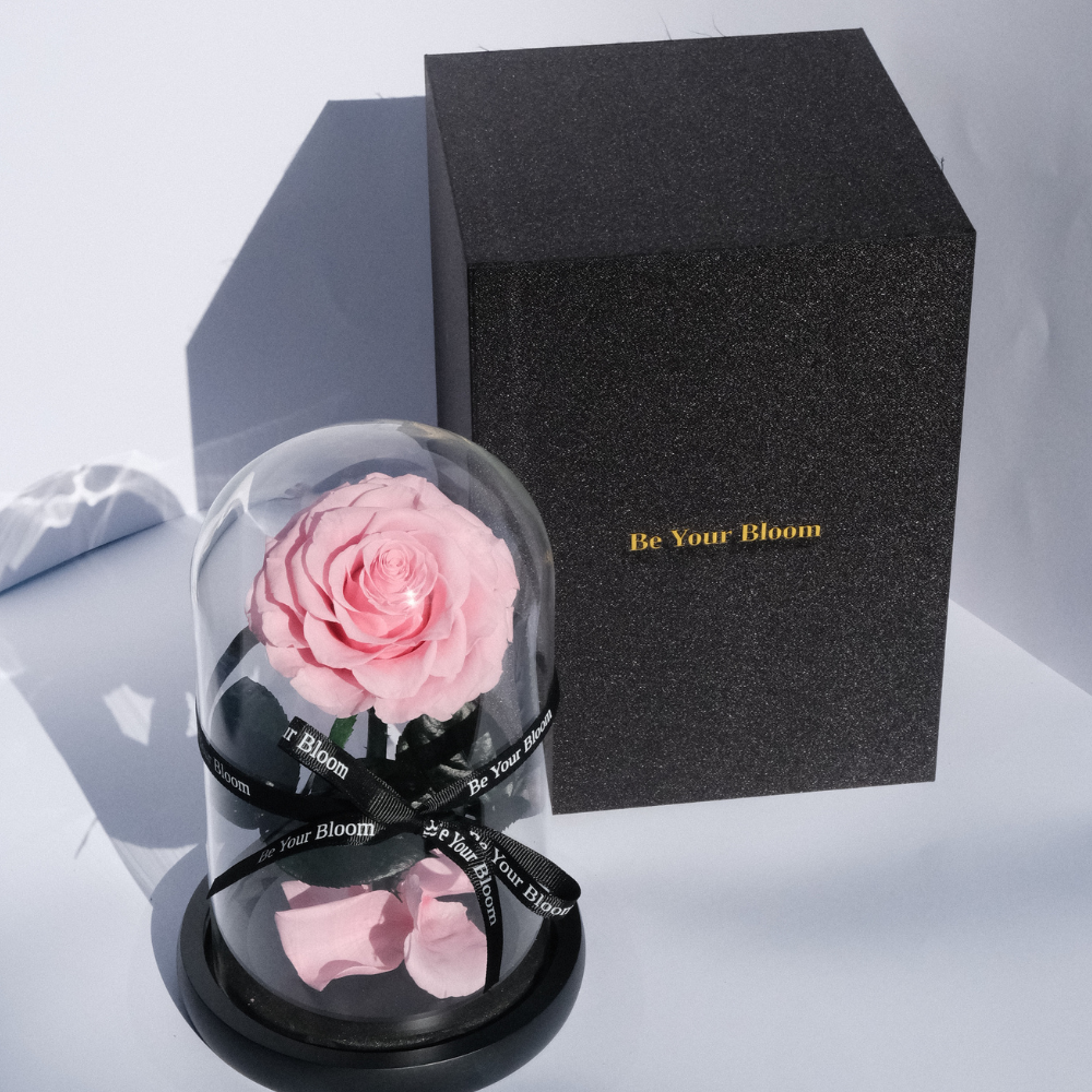 Everlasting Rose Glass Dome - Pink