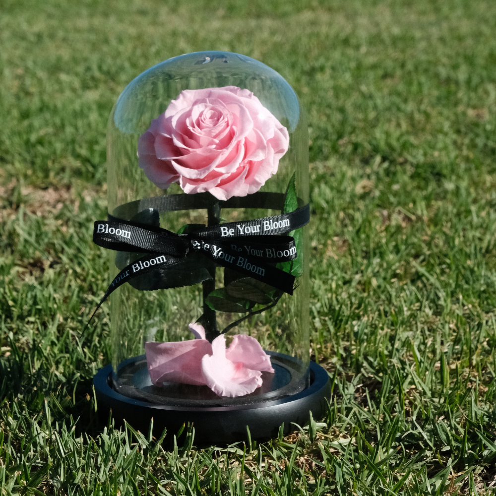 Everlasting Rose Glass Dome - Pink