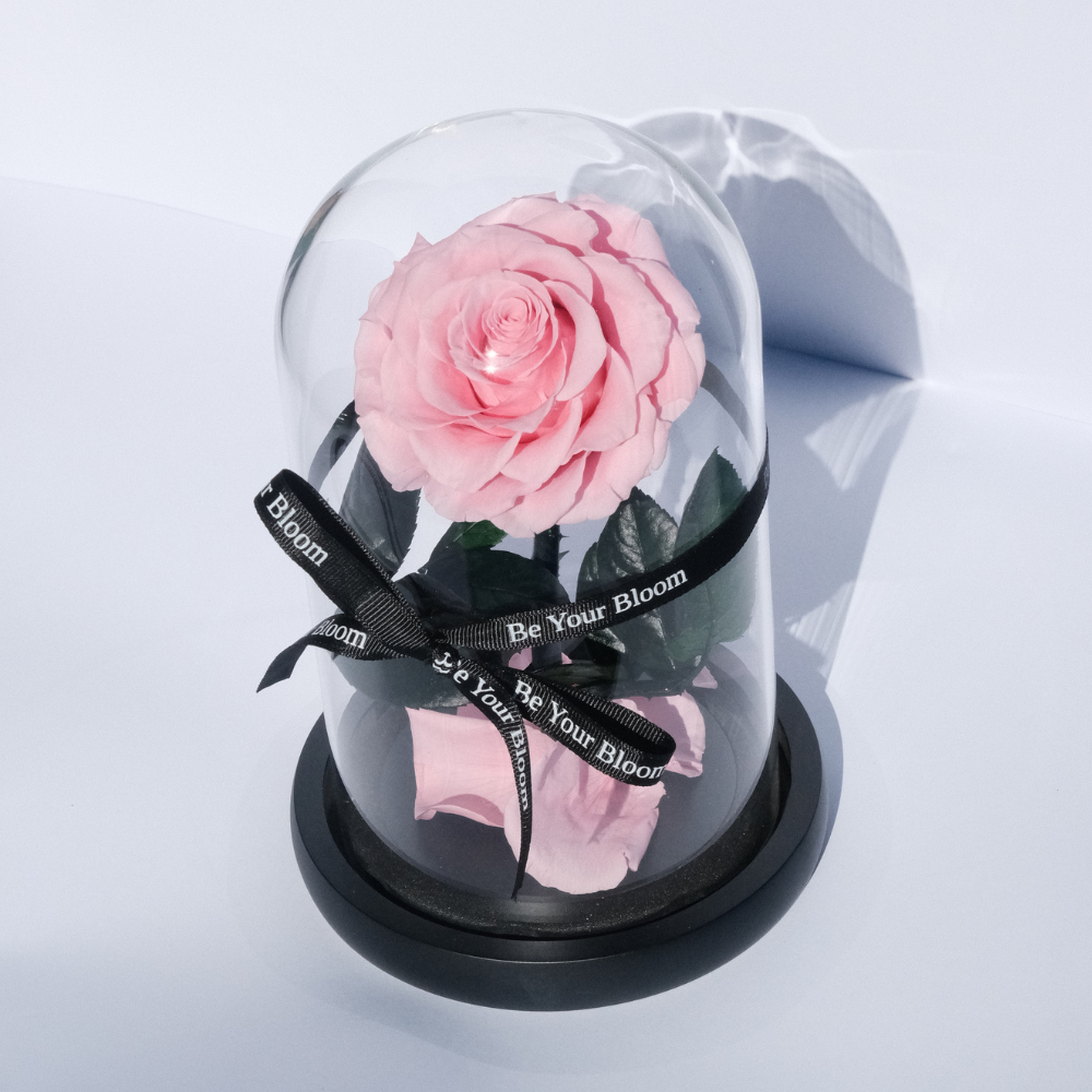 Everlasting Rose Glass Dome - Pink