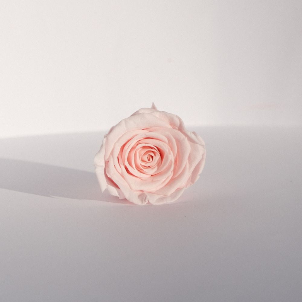 Everlasting Rose Head - Pink