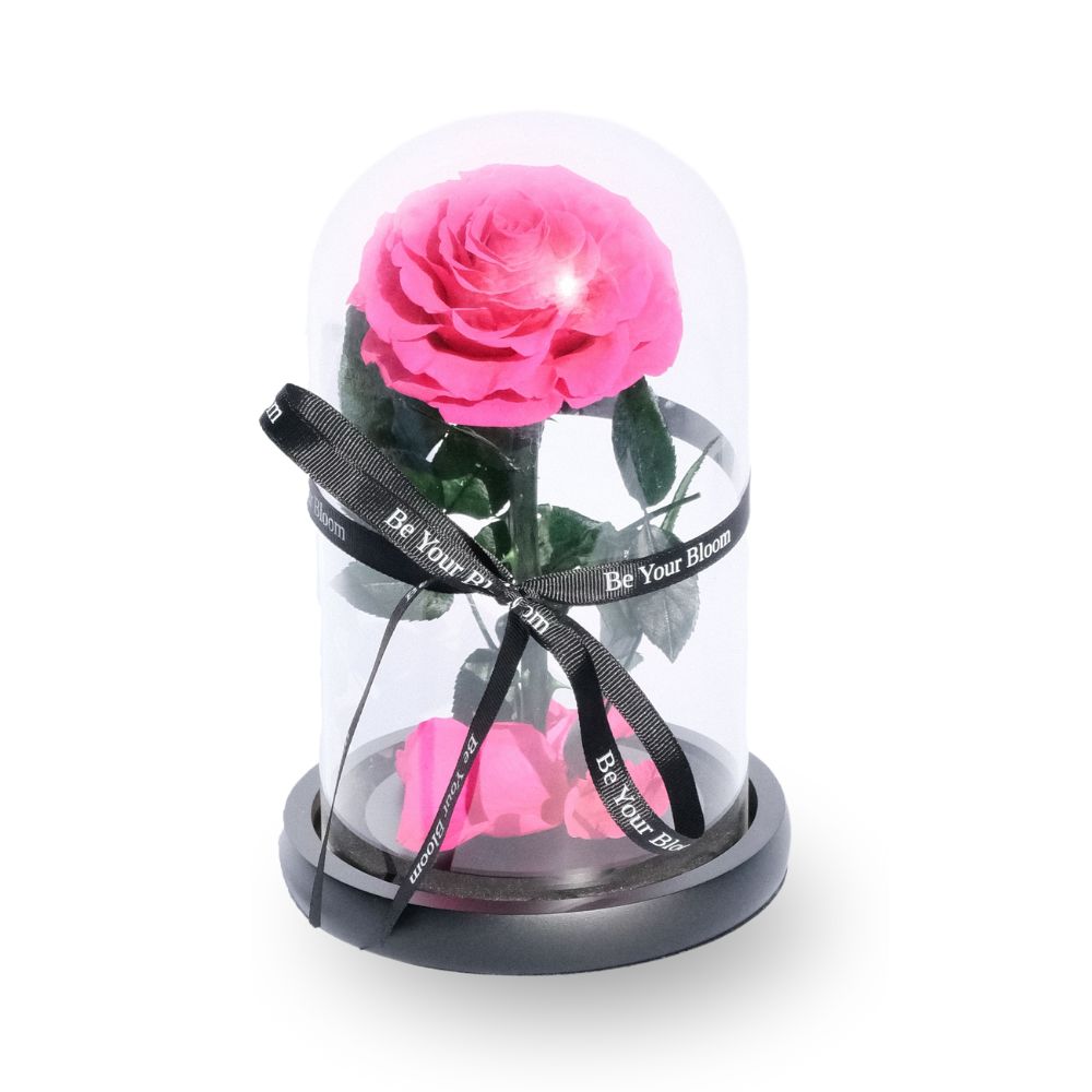 Everlasting Rose Glass Dome - Red