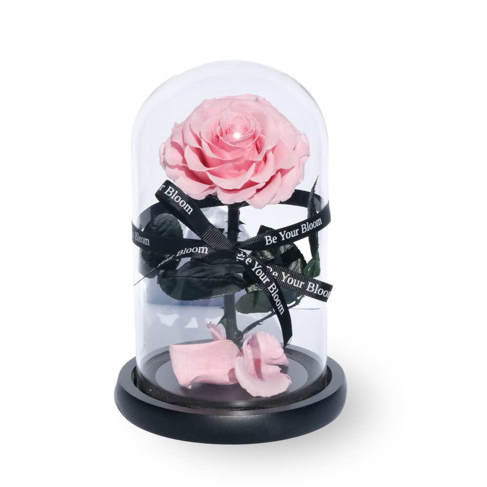 Everlasting Rose Glass Dome - Red