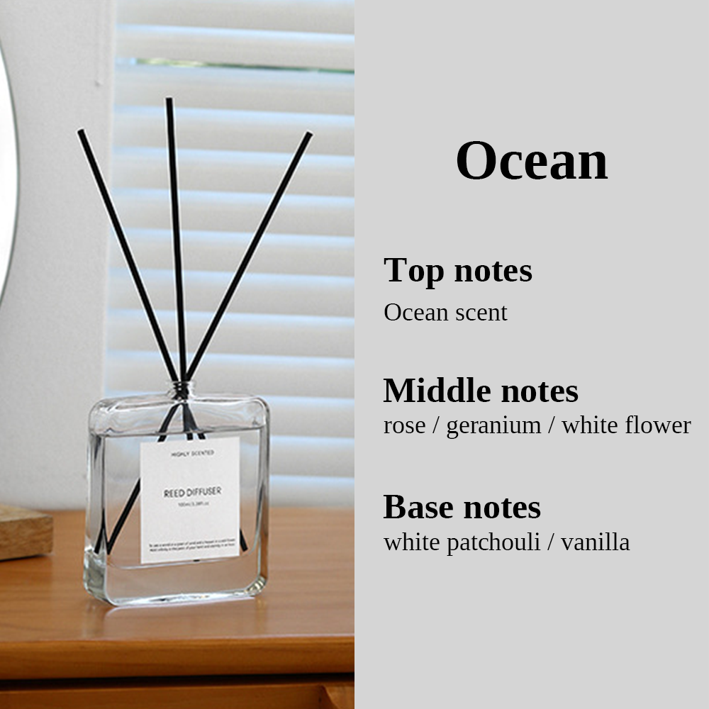 Fragrance Reed Diffuser 100ML