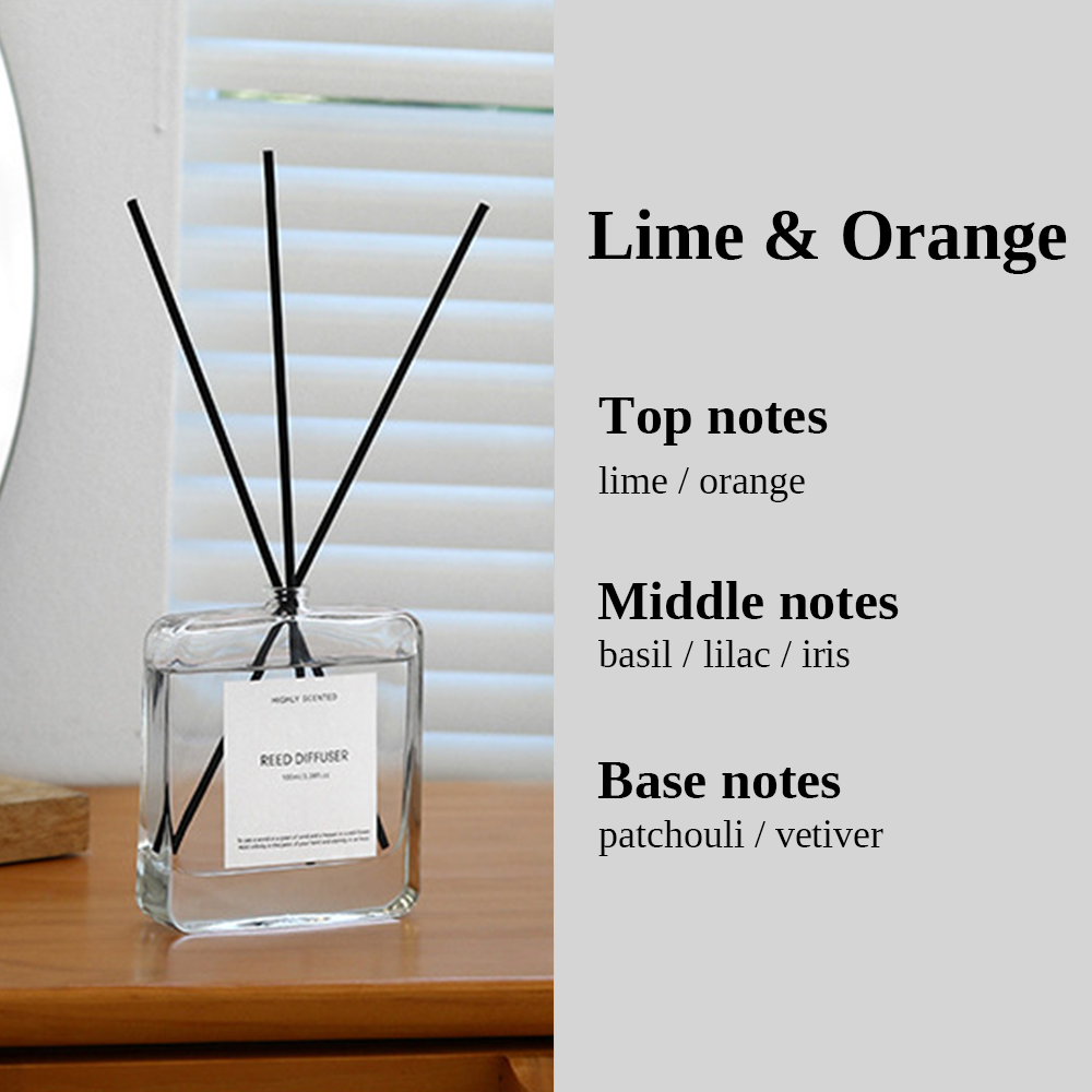 Fragrance Reed Diffuser 100ML
