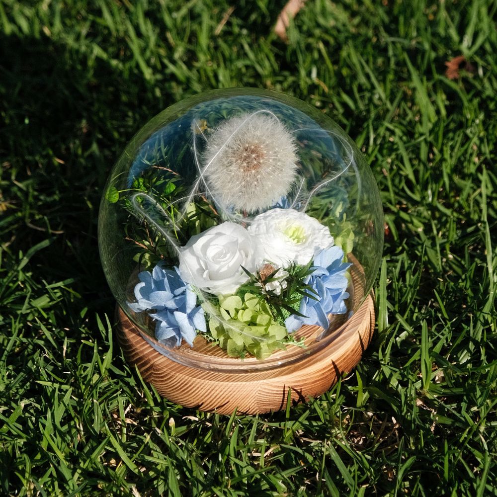 Everlasting Dandelion Glass Dome with LED Lights - Blue