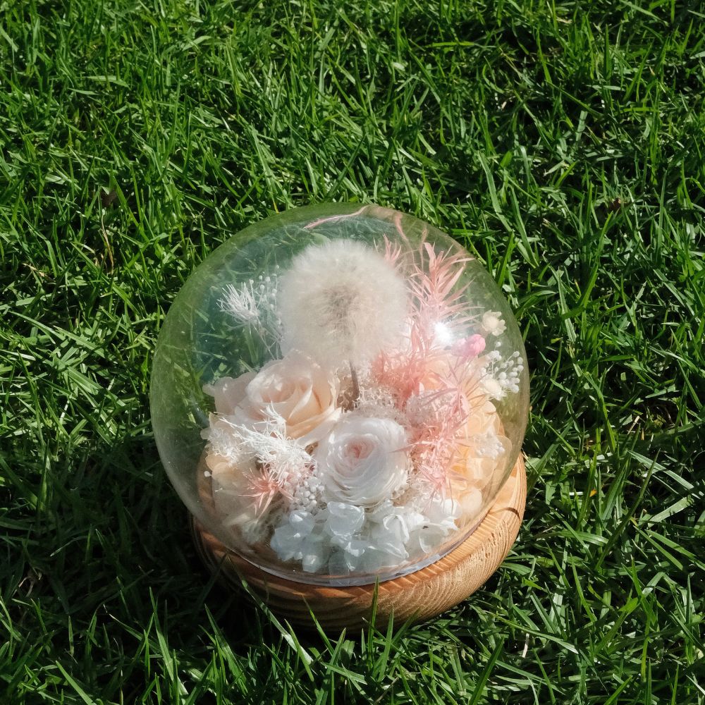 Everlasting Dandelion Glass Dome with LED Lights - Pink