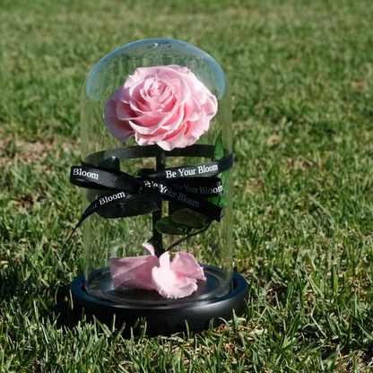 Everlasting Rose Glass Dome - Pink