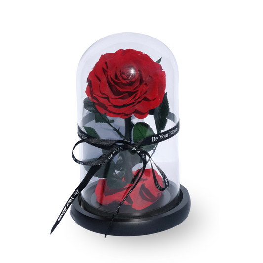Everlasting Rose Glass Dome - Red