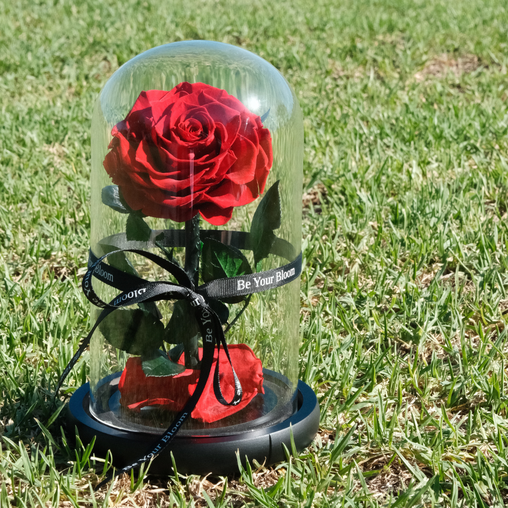 Everlasting Rose Glass Dome - Red