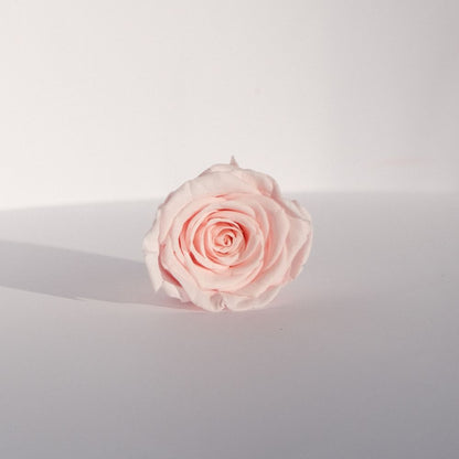 Everlasting Rose Head - Pink