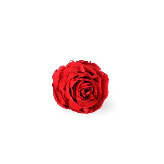 Everlasting Rose Head - Red