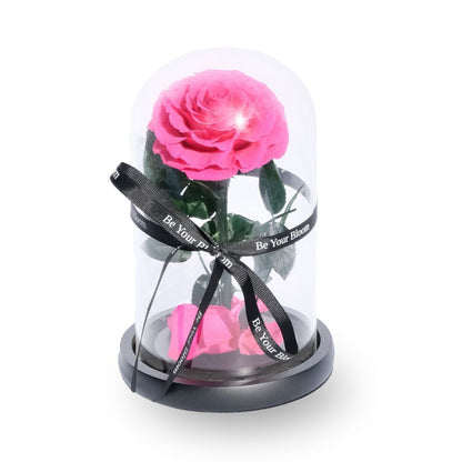 Everlasting Rose Glass Dome - Red
