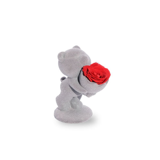 Everlasting flowers with teddy bear - Red