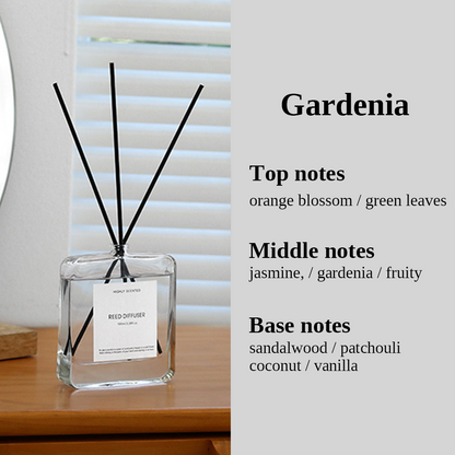 Fragrance Reed Diffuser 100ML