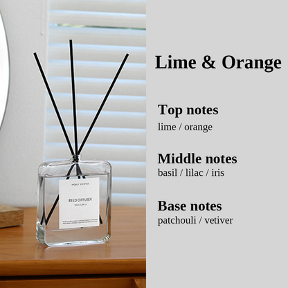 Fragrance Reed Diffuser 100ML