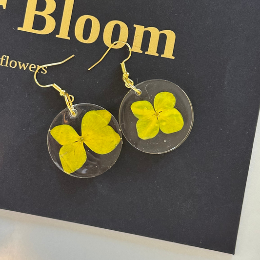 Handmade Resin Dried Flower Earrings - Yellow